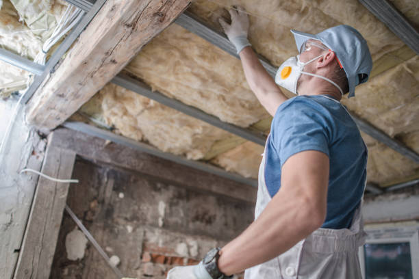 Best Crawl Space Insulation  in Bogata, TX