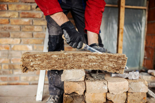 Best Cellulose Insulation  in Bogata, TX